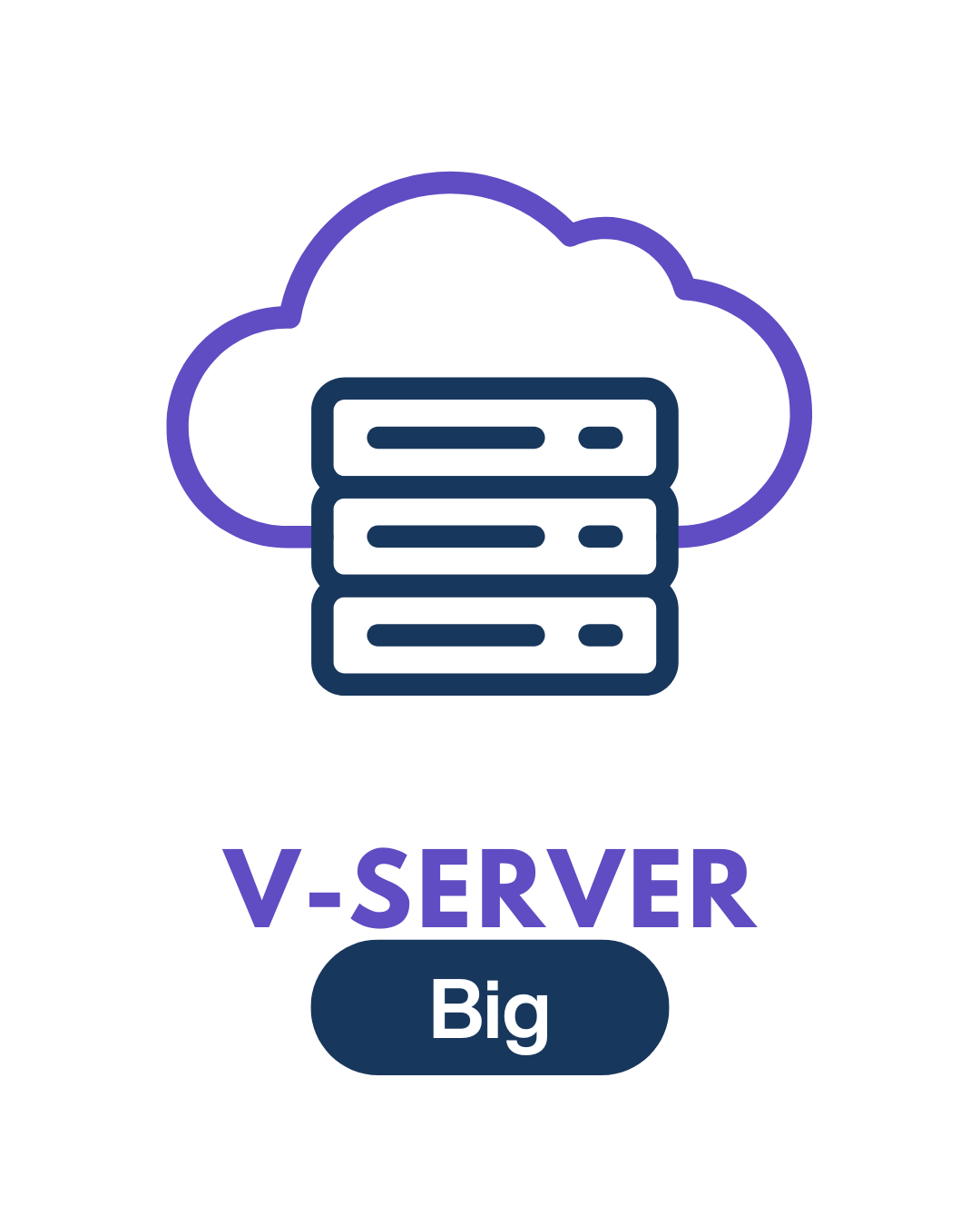 Server Paket Big