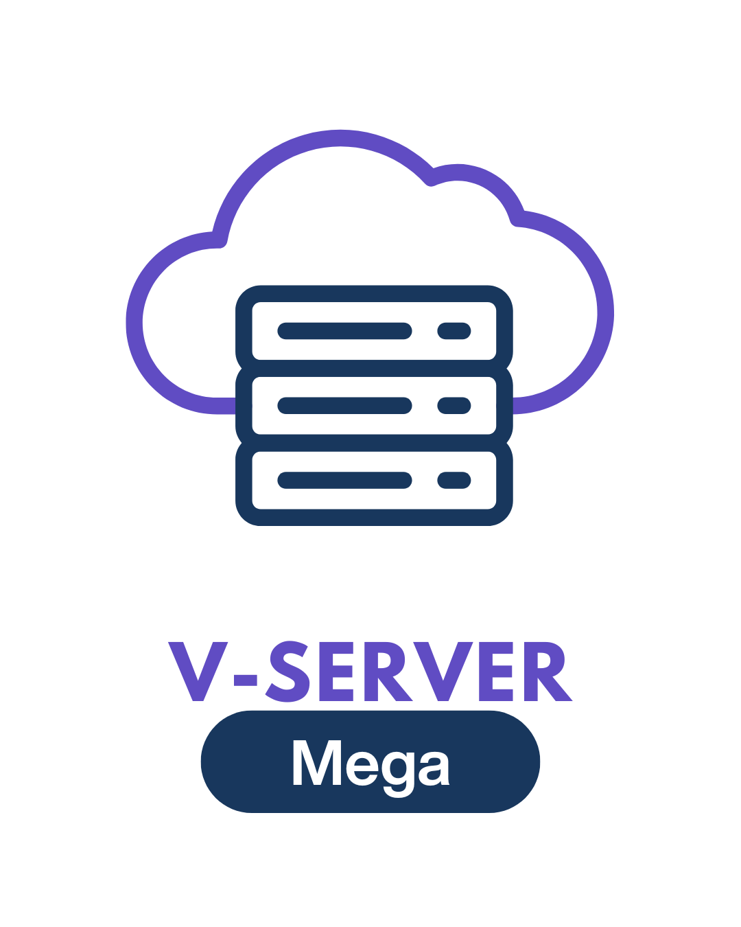 Server Paket Mega