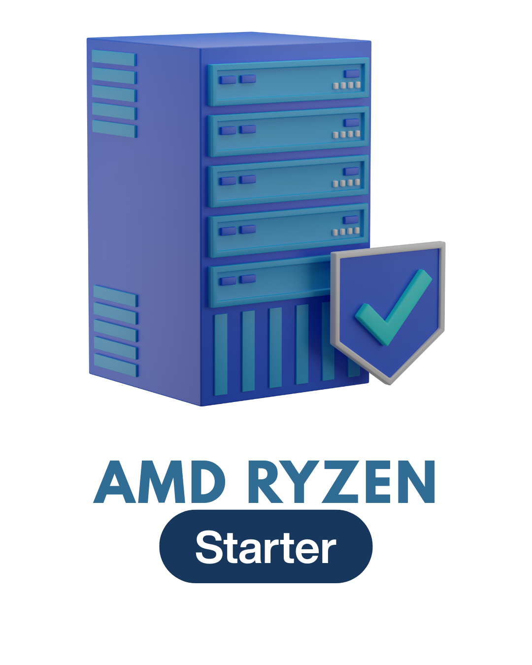 Server Starter AMD-Ryzen